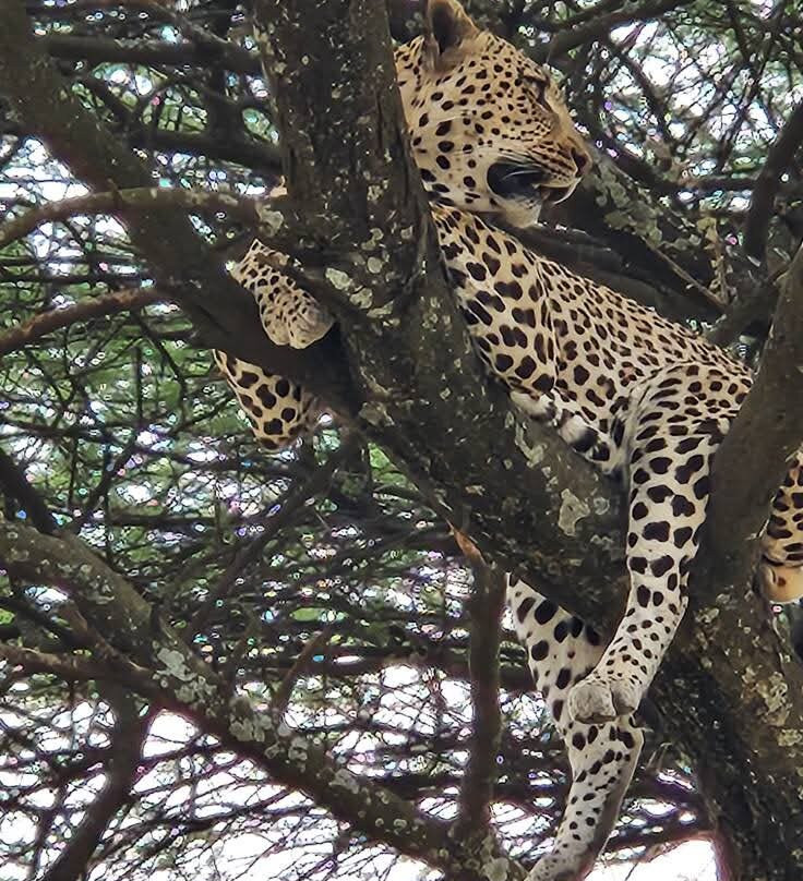 Mamasavana-马林地必去景点