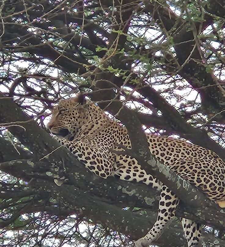 Mamasavana-马林地必去景点