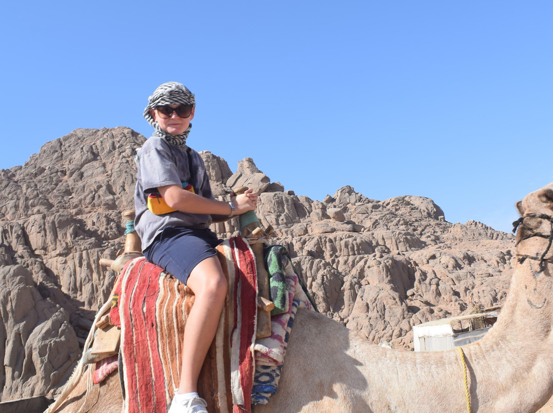 El Sherif Safari-沙姆沙伊赫必去景点