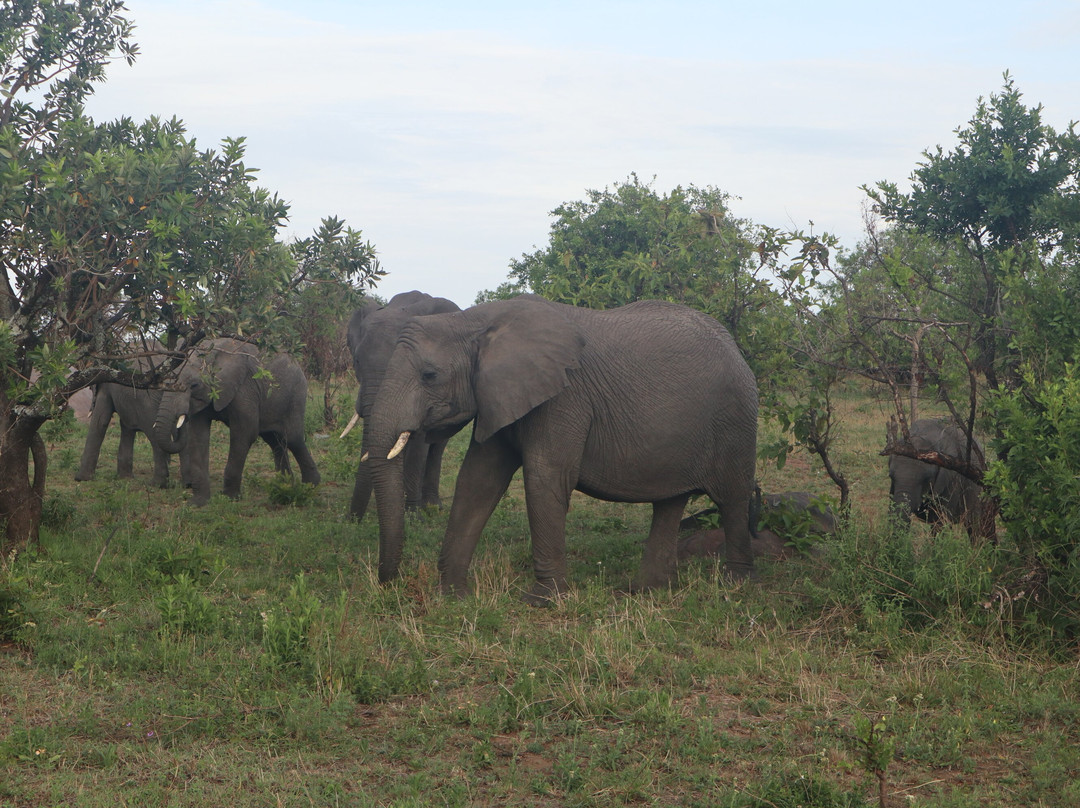 RA Safaris-阿鲁沙必去景点