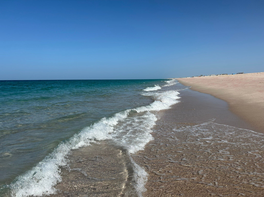 Ras Al Hadd beach