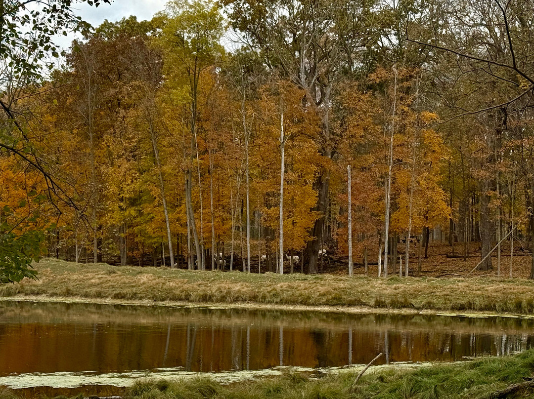 Shalom Wildlife Zoo-West Bend必去景点