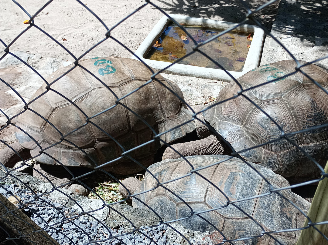 Bras d'Eau National Park-Poste Lafayette必去景点