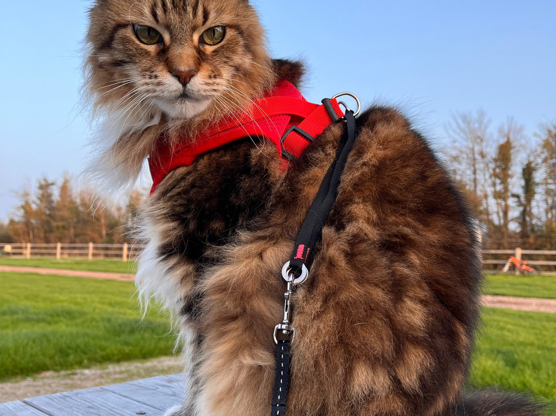 Burton Springs Fishing and Holidays-布里奇沃特必去景点