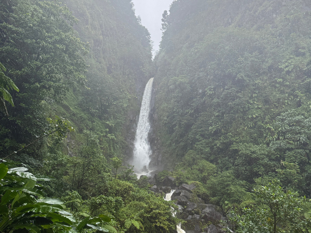 Wacky Rollers-罗索必去景点