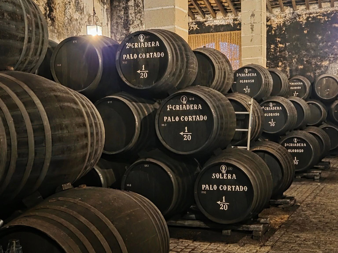 Bodegas Tradicion-赫雷斯德拉弗隆特拉必去景点