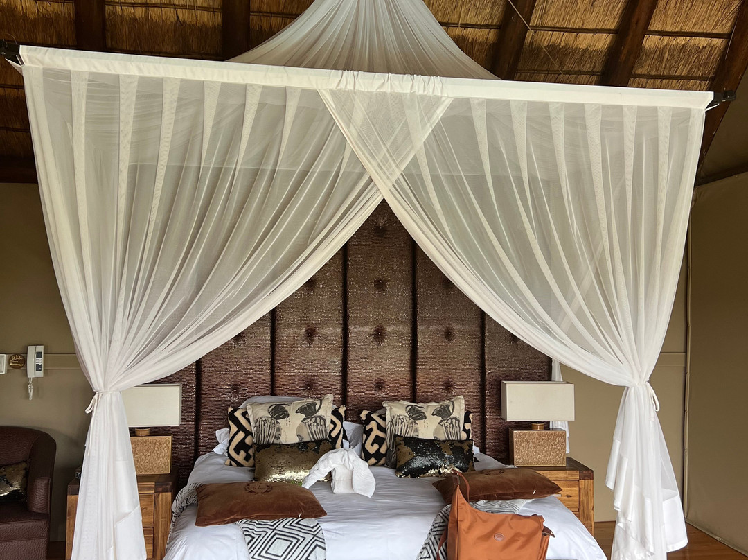 Bush Lodge Amakhala主图