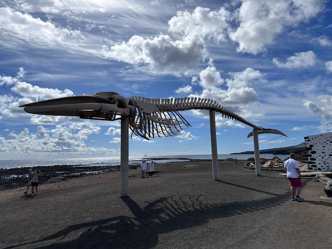 Museo de Las Salinas del Carmen-Antigua必去景点