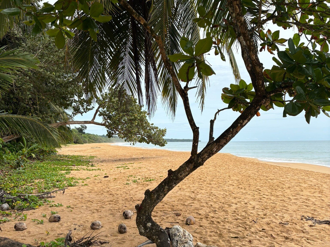 Playa Bluff-Bluff Beach必去景点