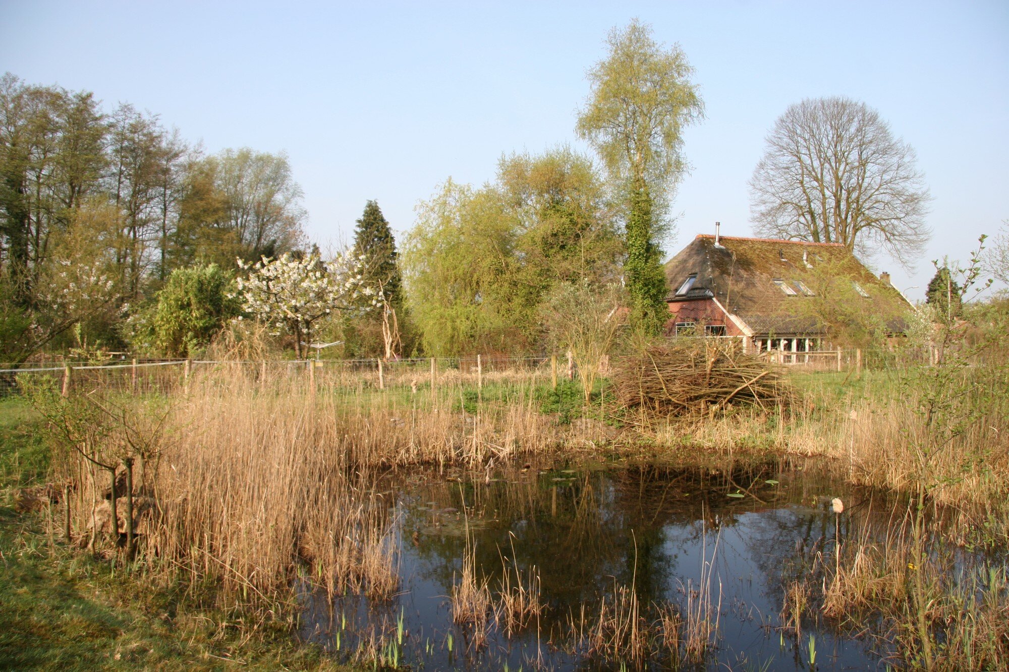 B&B De Oude Molensteen-浴室