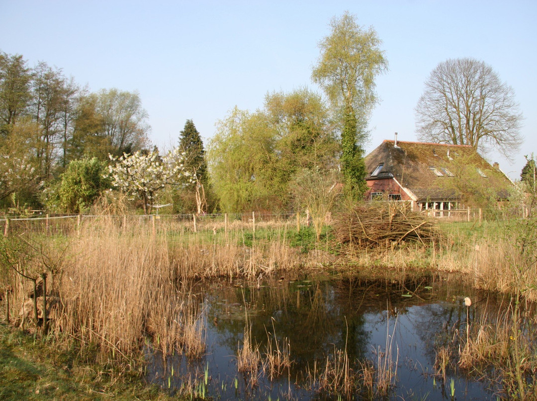 B&B De Oude Molensteen主图