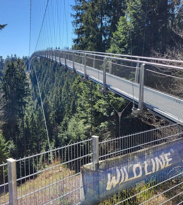 WildLine Hängebrücke-Bad Wildbad必去景点