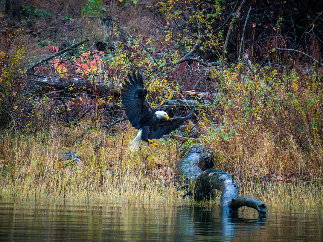 Shoreline Tours-哈里逊温泉必去景点