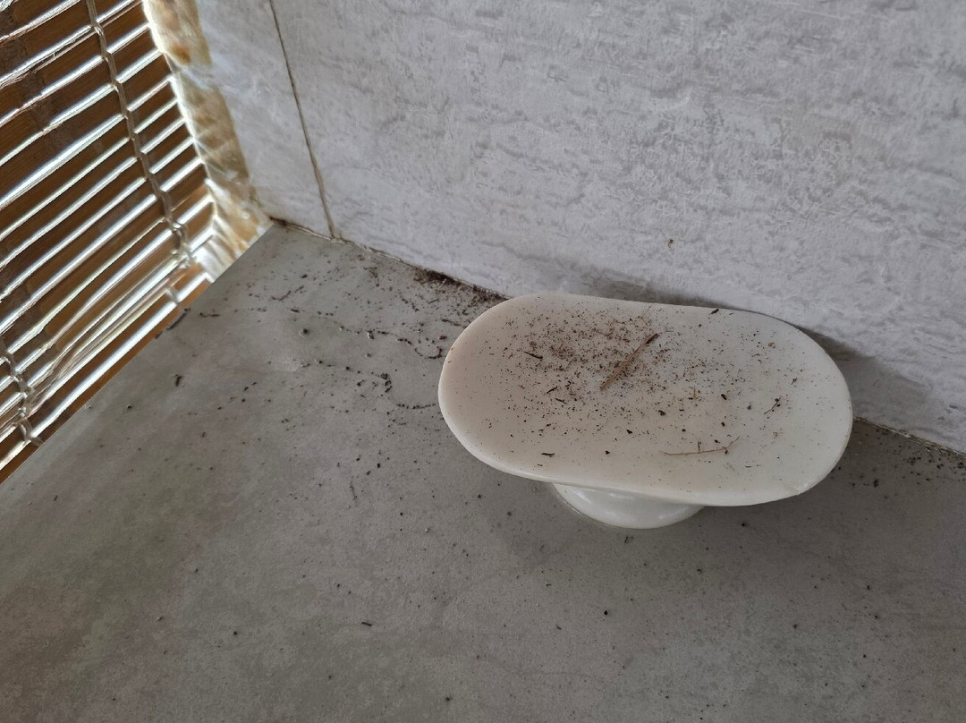 猫禄度假村主图