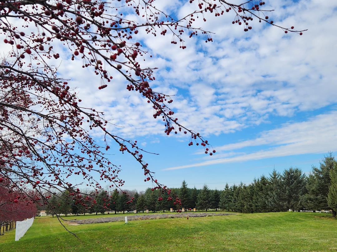 Eagle Eye Farm-River Falls必去景点