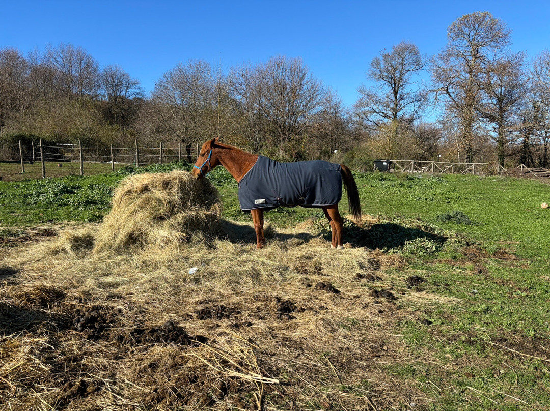 The Fairy Ranch-Rocca di Papa必去景点