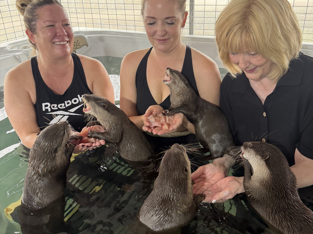 Blue Hills Ranch-McGregor必去景点