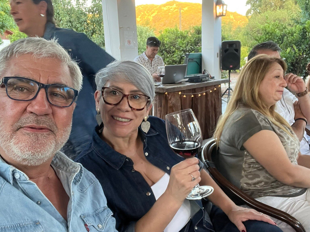 Hotel Boutique Solaz Bella Vista de Colchagua主图