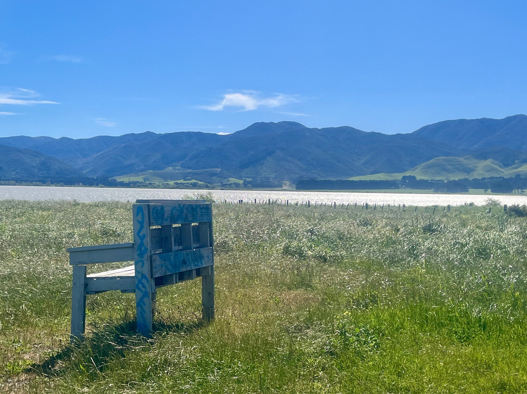 Lake Wairarapa-Featherston必去景点