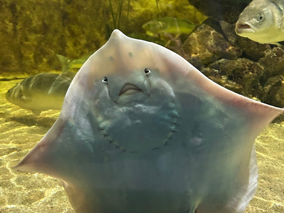 Lakes Aquarium-Newby Bridge必去景点