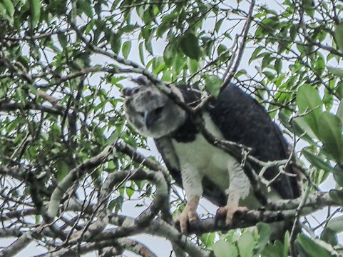 Dracaena Explorations-基多必去景点