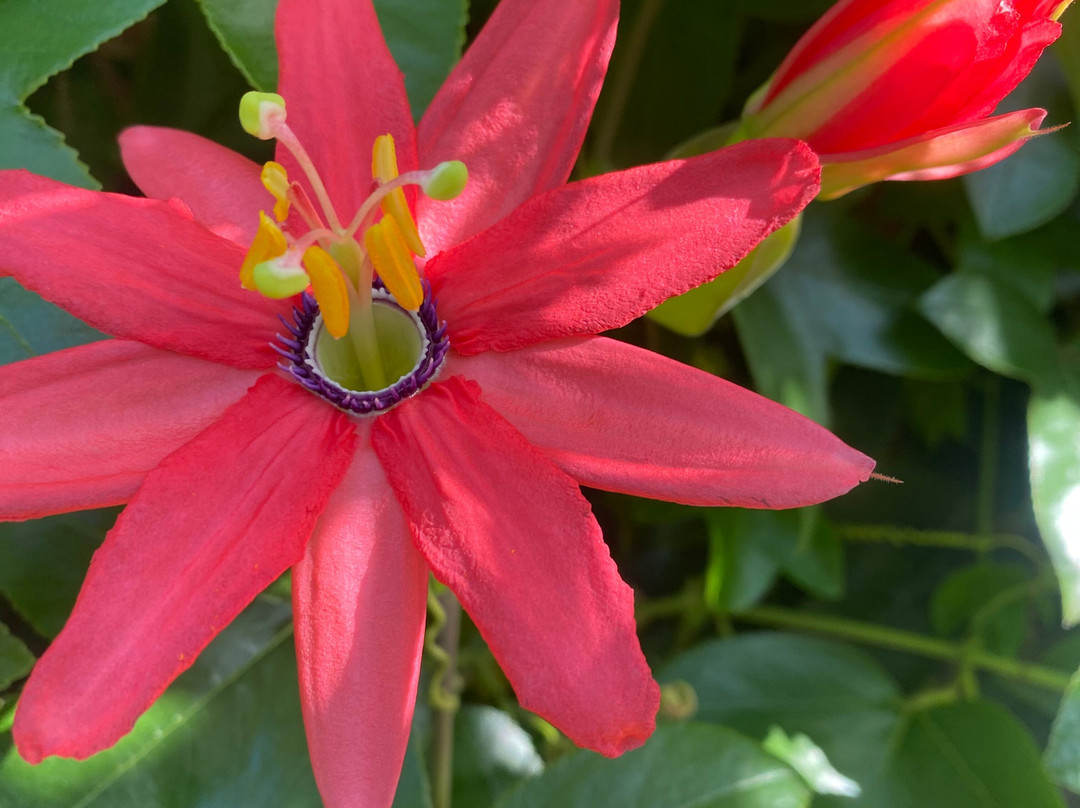 Bodega Bay Inn主图