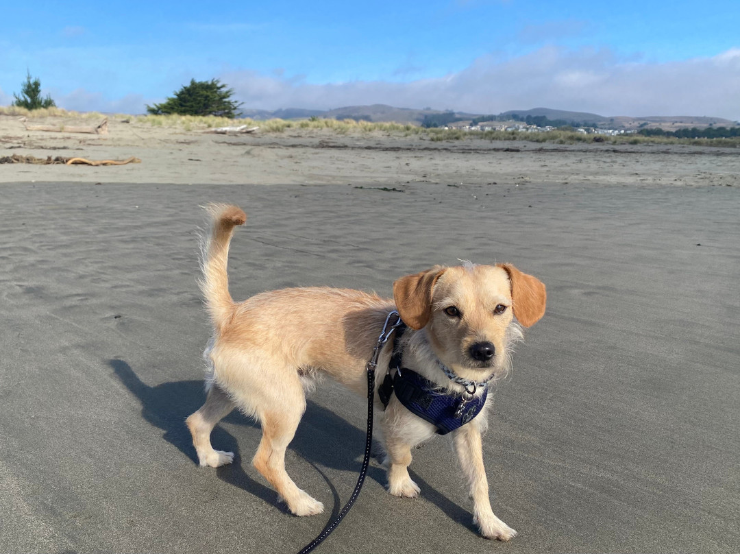 Bodega Bay Inn主图