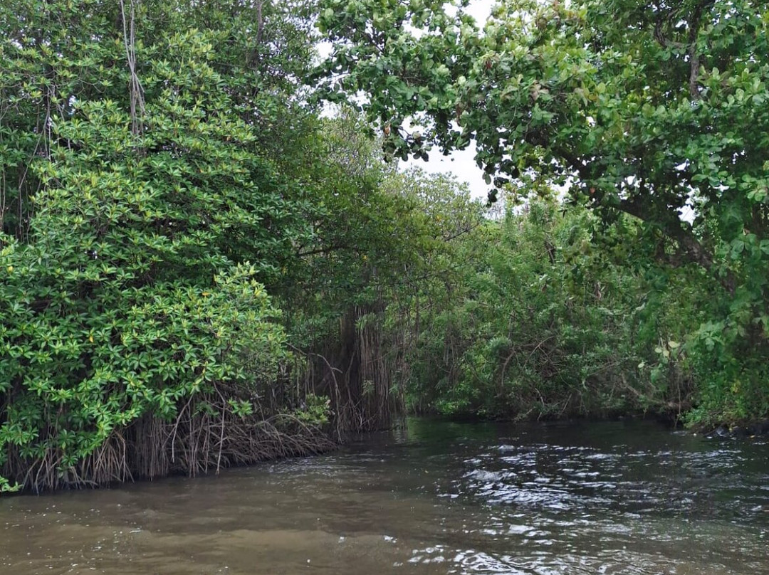 Lucky Boat Safari-班托塔必去景点
