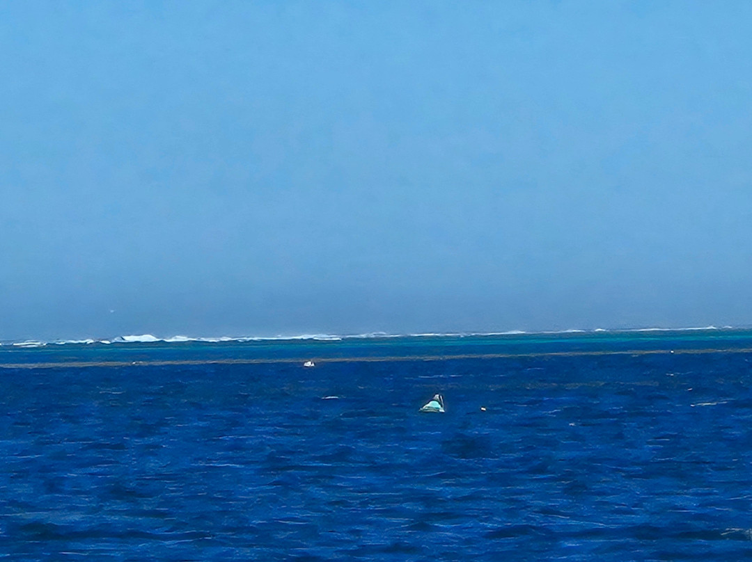 Ningaloo Reef Dive-珊瑚湾必去景点