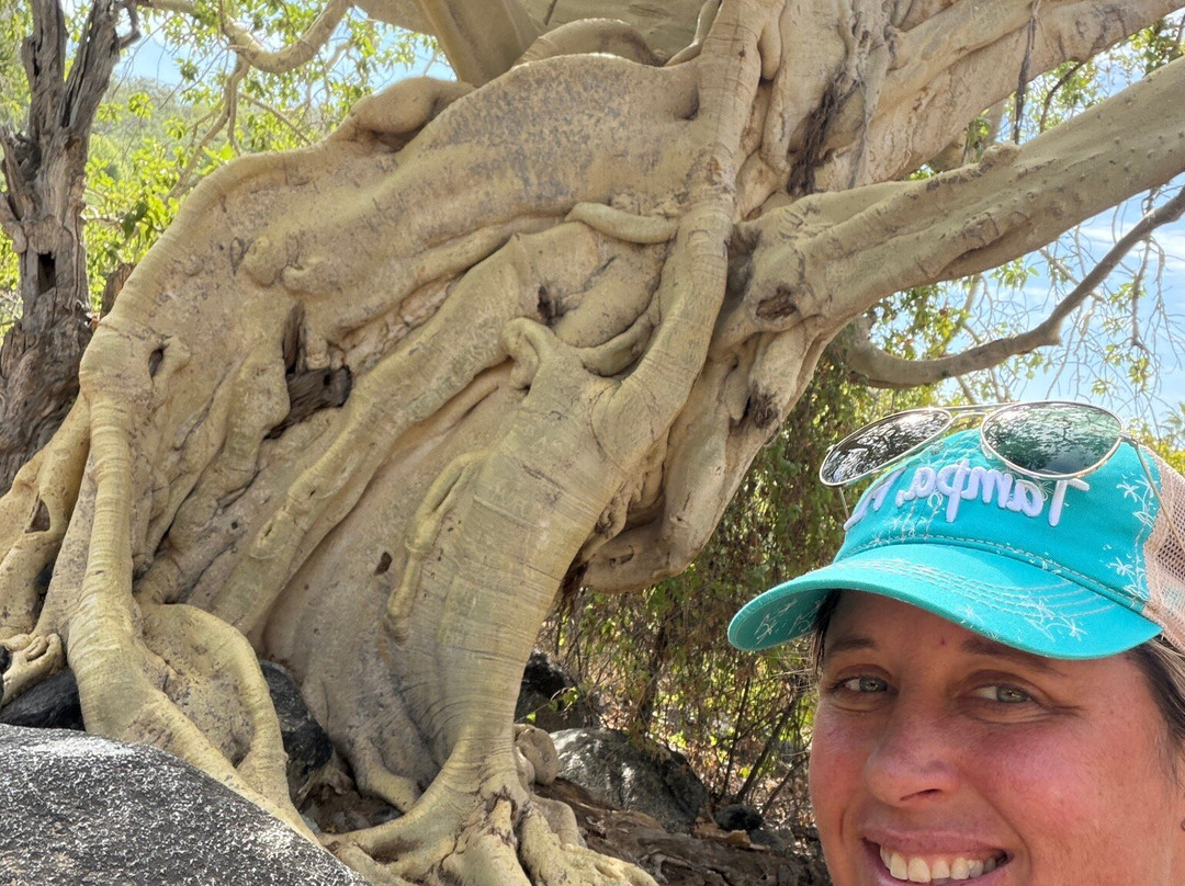 Santa Rita Hot Springs-Santiago必去景点