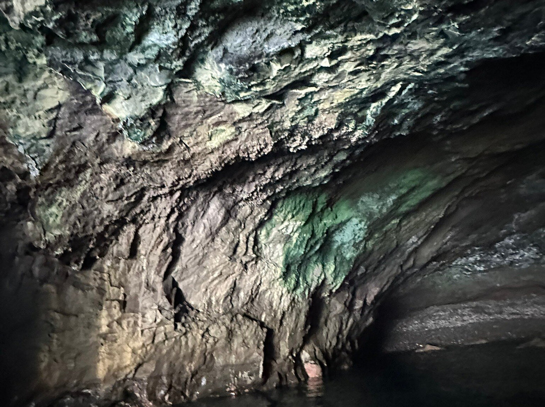 Nemo La Palma-Puerto de Tazacorte必去景点