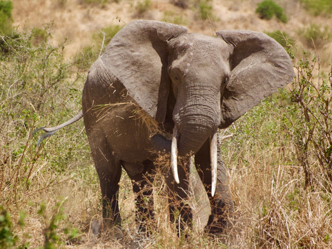 Lune Adventure Ltd-莫西必去景点