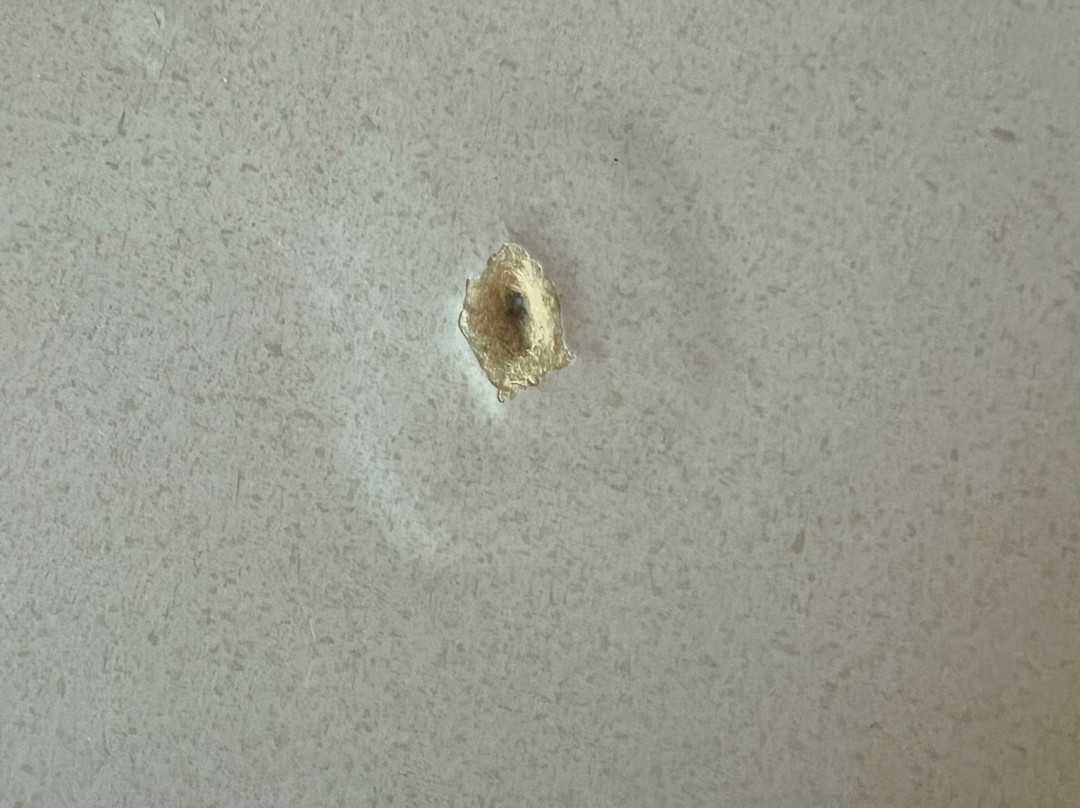 马尔文酒店主图