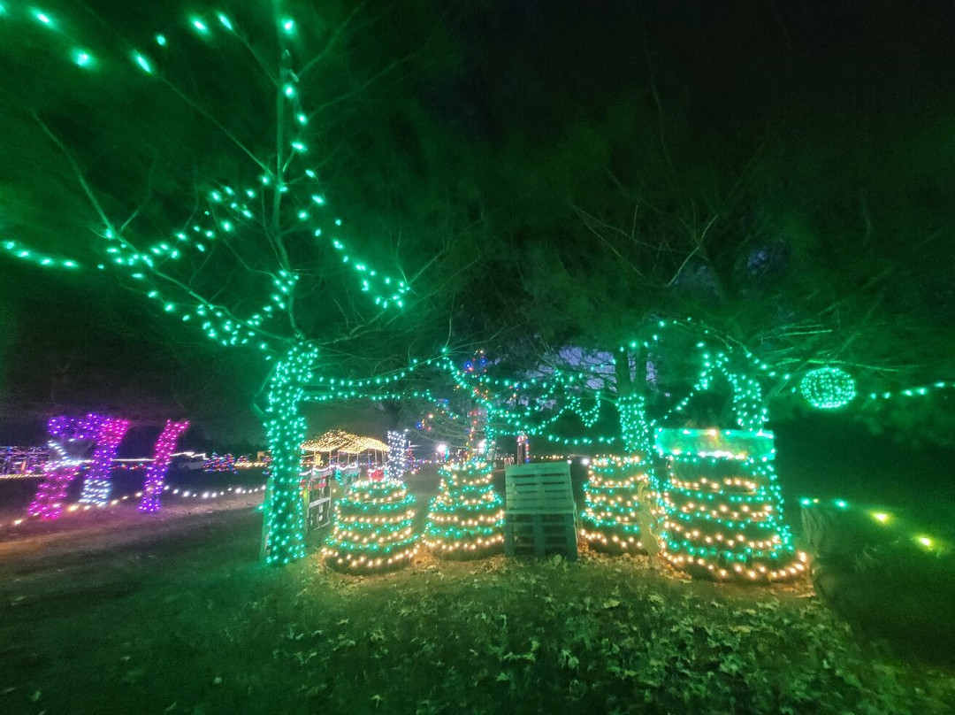 Indian Acres Tree Farm-Medford必去景点