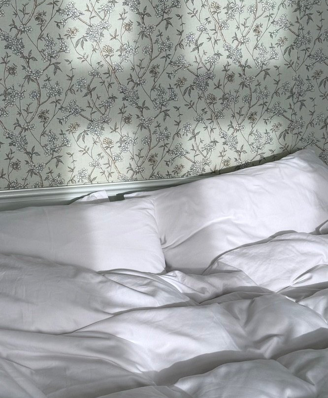 Meurthe-et-Moselle酒店住宿-Château d'Adomenil