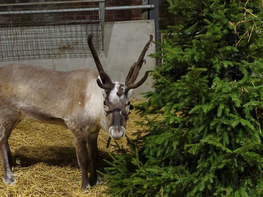 Bluebell Dairy Farm-德比必去景点
