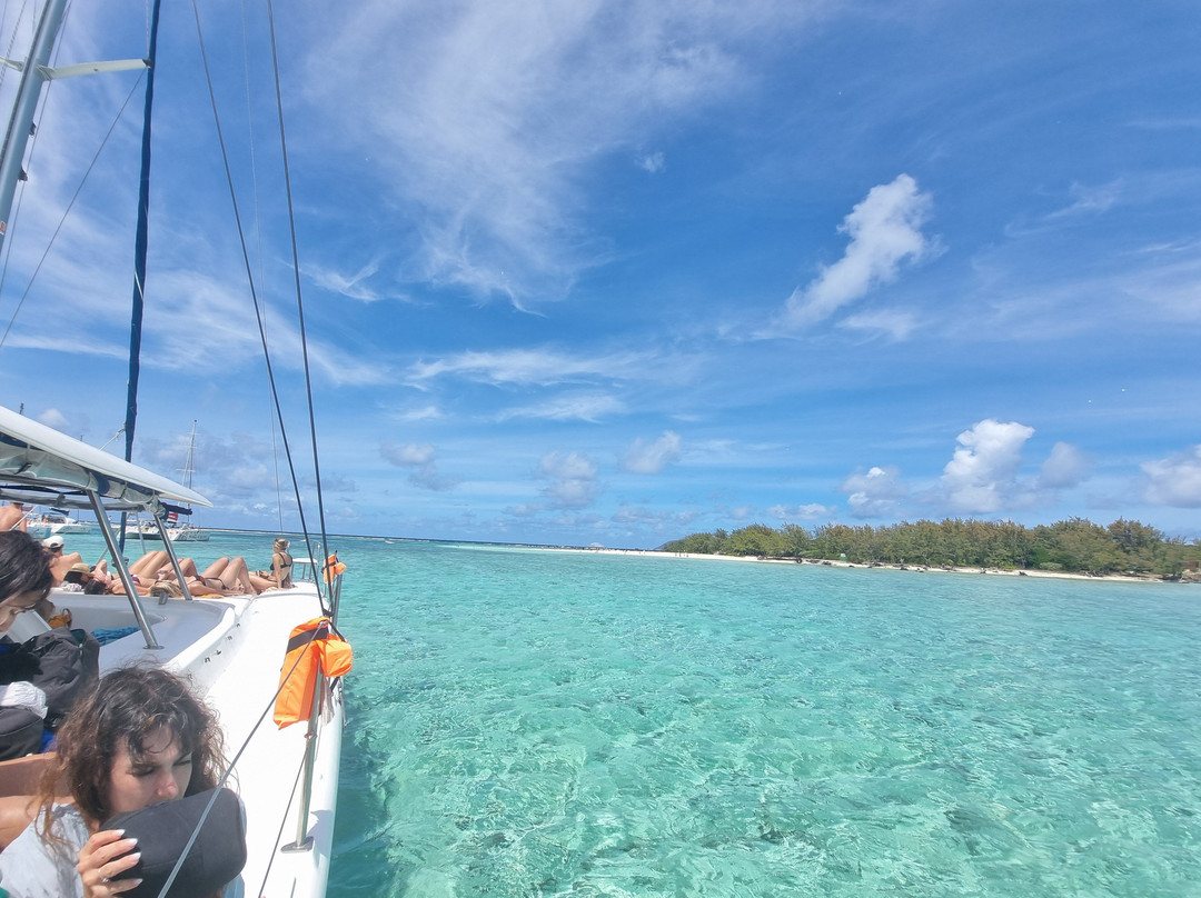 Coral Belle Catamaran Cruises-大湾必去景点