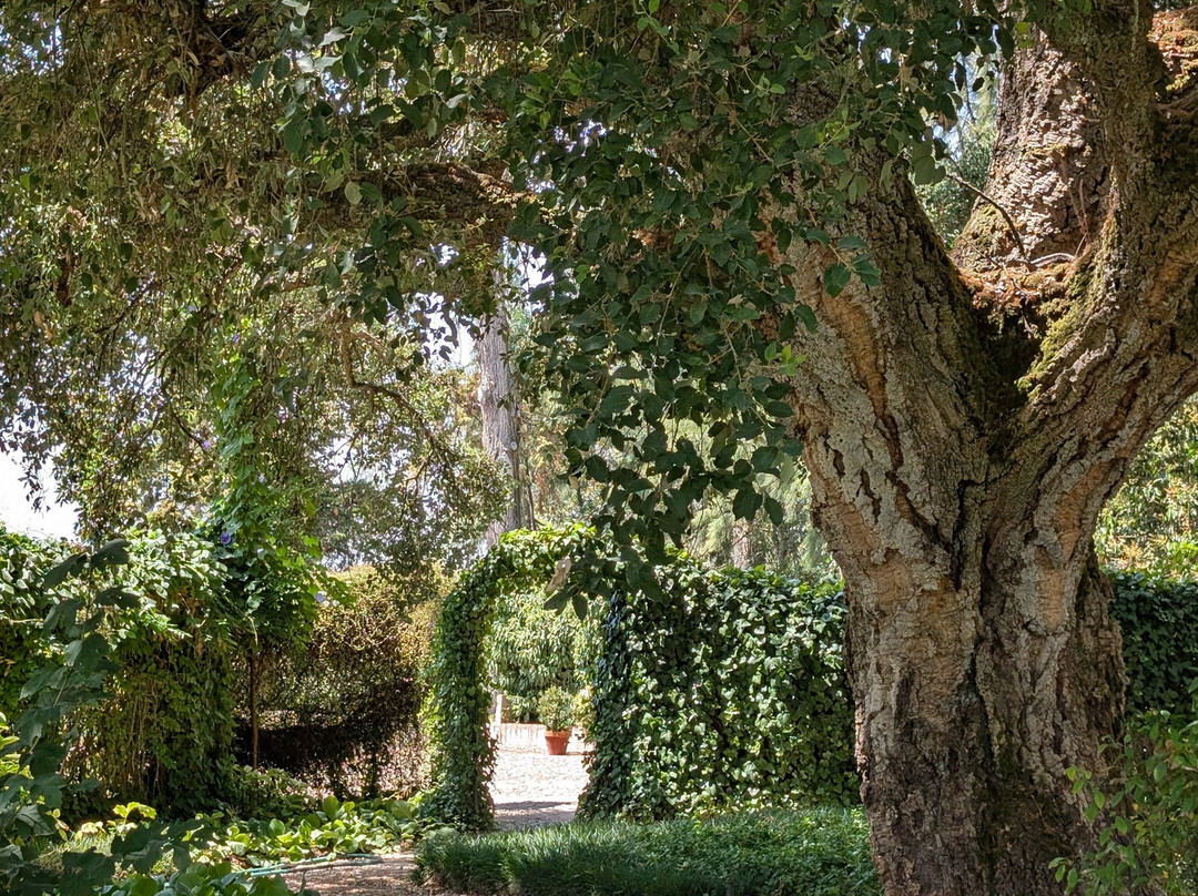 Azeite Casa Anadia - Olive Oil & Tours-Abrantes必去景点