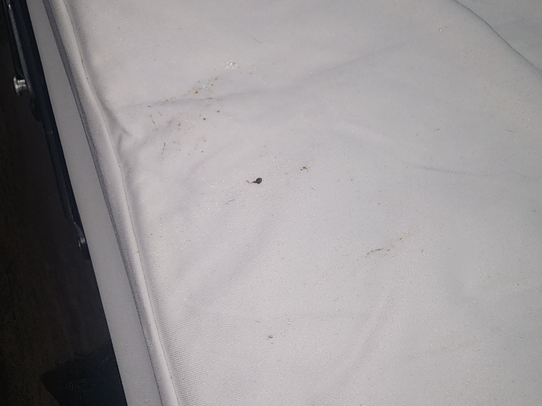 Hyatt Place Birmingham Hoover主图