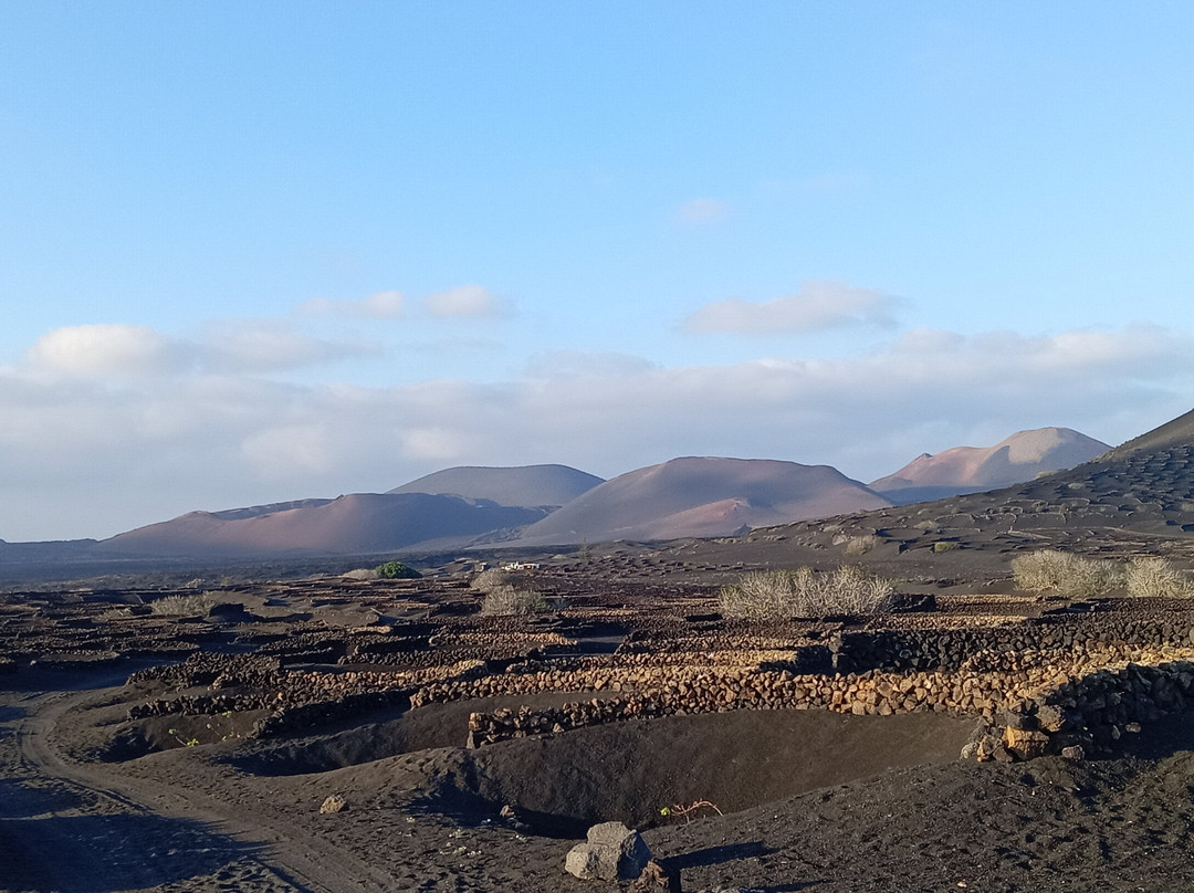 Wine Tours Lanzarote-卡门港必去景点