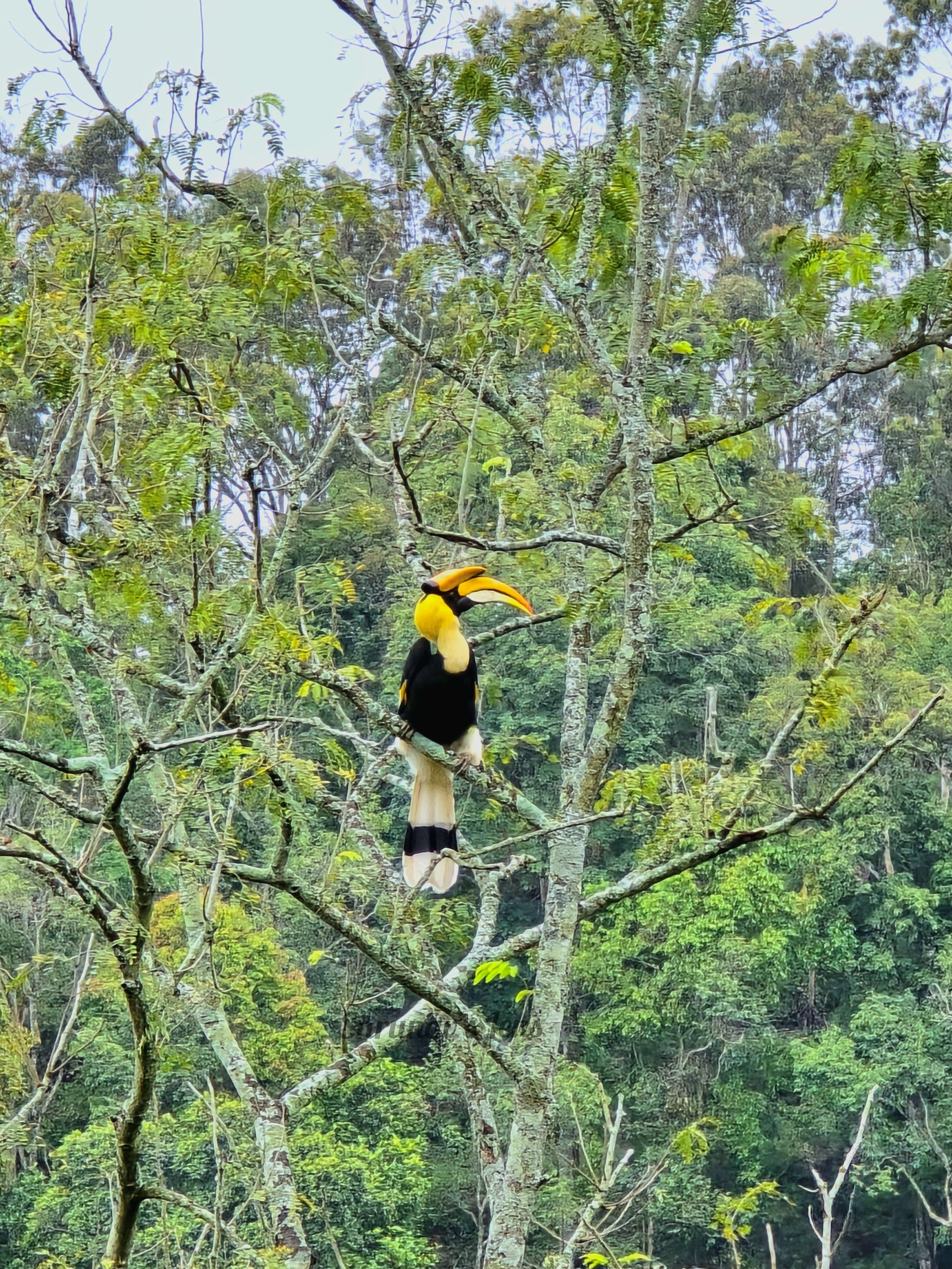 Oland Plantation Farm Stay-官方