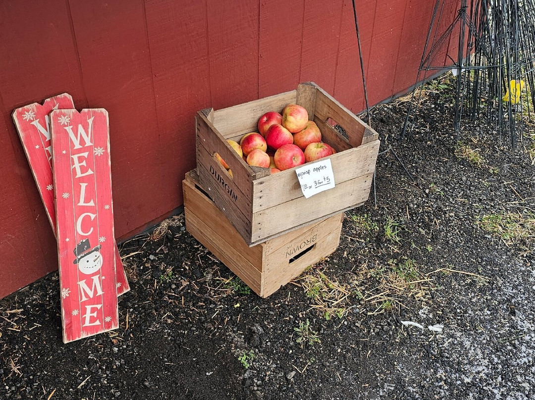 Jones Family Farm-Street必去景点