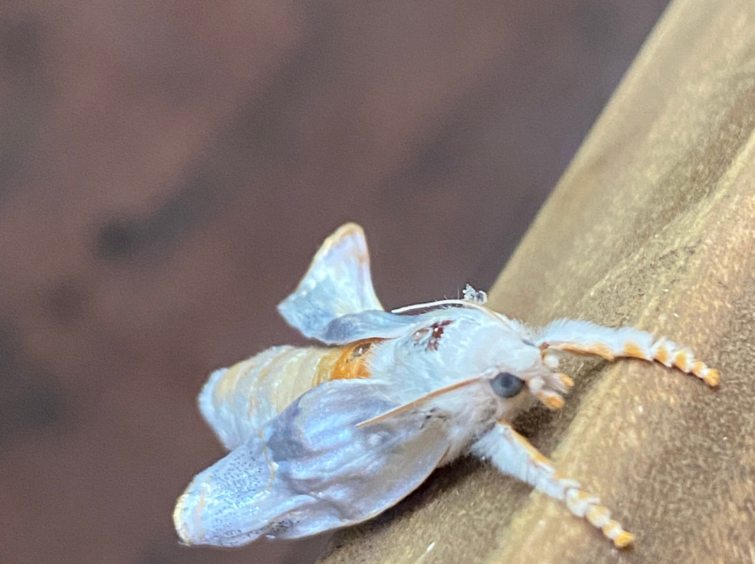 Handunkanda Nature Escape主图