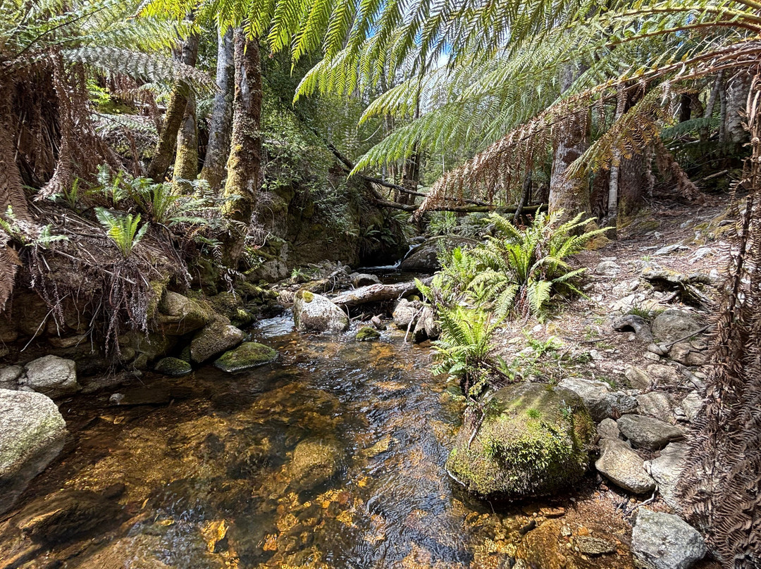 Mountain Biking Adventures Derby - MADMTB-Derby必去景点