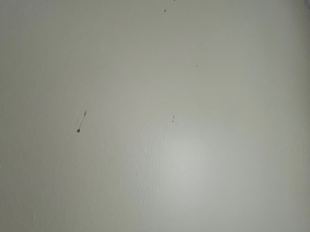 巴里速8酒店主图