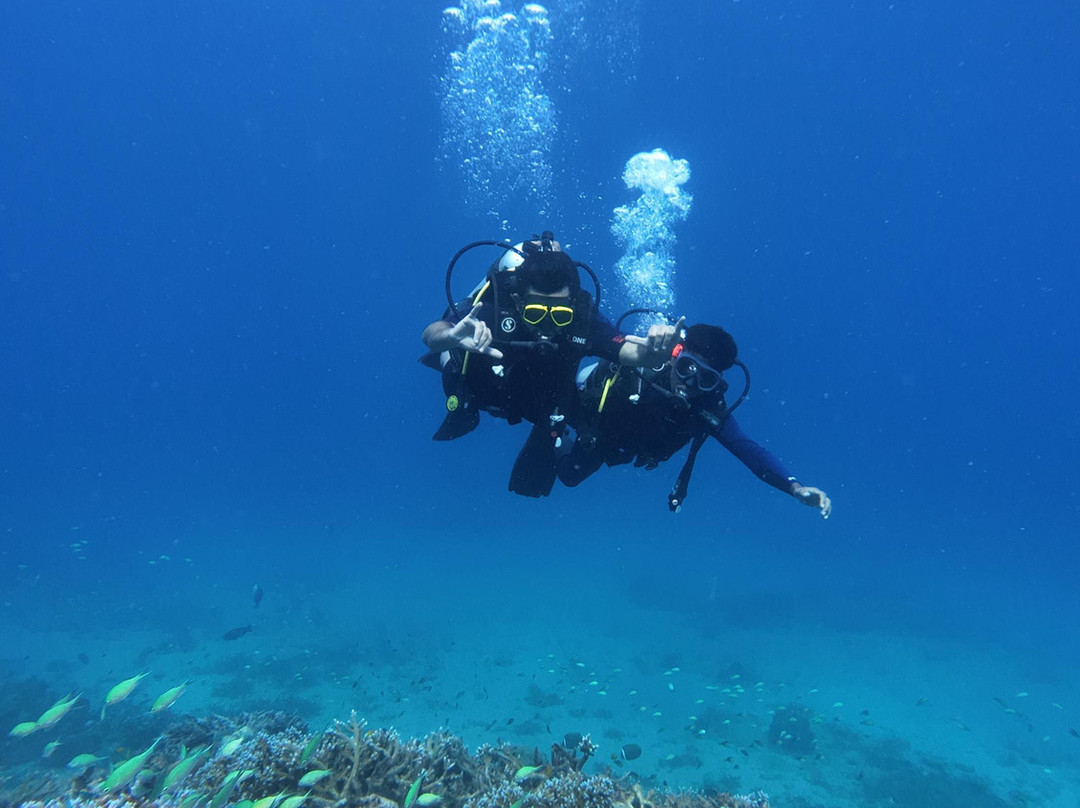 Turquoise Dream | PADI Dive Centre-Neil Island必去景点