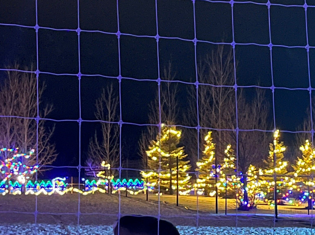 野生动物探索公园-因尼斯费尔必去景点