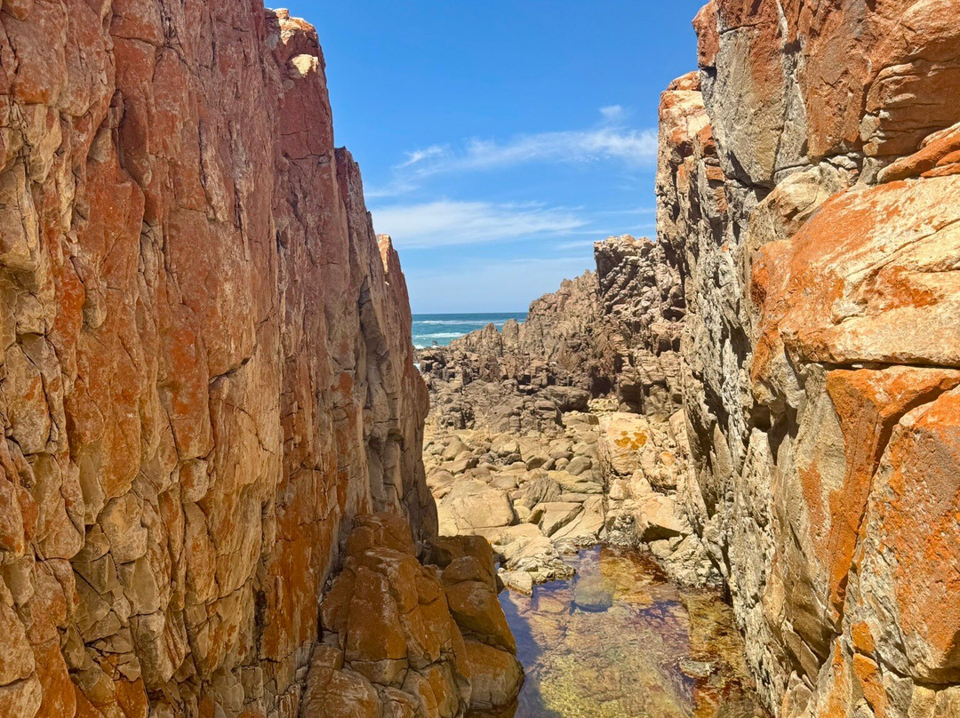 Kranshoek Hiking Trail-哈克城必去景点