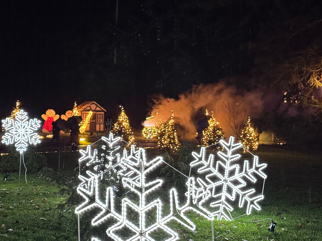 Christmas Garden Insel Mainau-康士坦茨必去景点