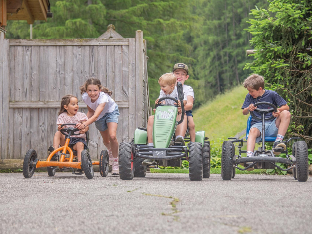 Obereggerhof - Apartments - Farm Holidays主图